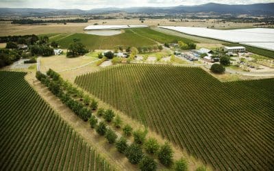 Yarra Valley Tours in Melbourne